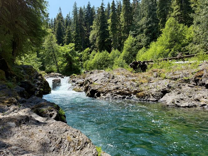 Default image for Salmon Cascades Trail, a 0.1-mile trail in Port Angeles, WA (US)