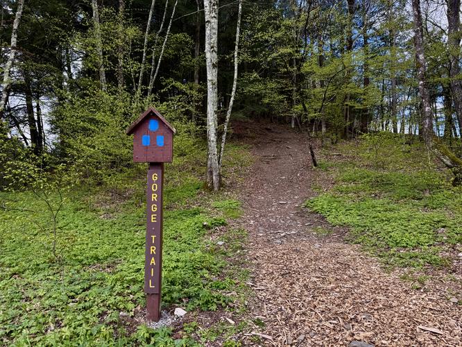 Gorge Trail trailhead