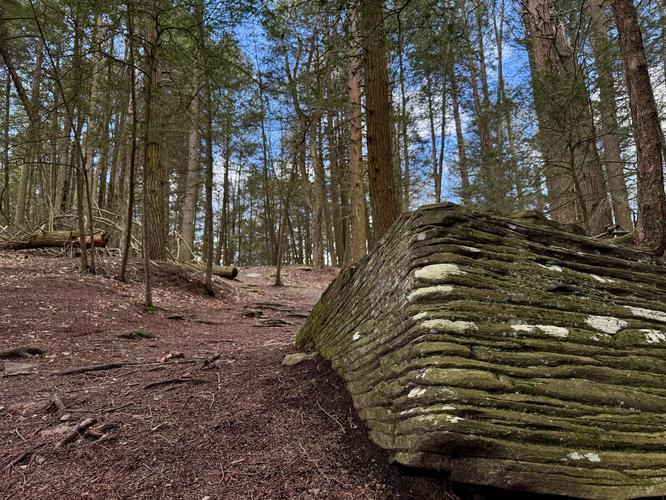 Steep hillsides of the Fall Brook gorge with shale rock formations along the way