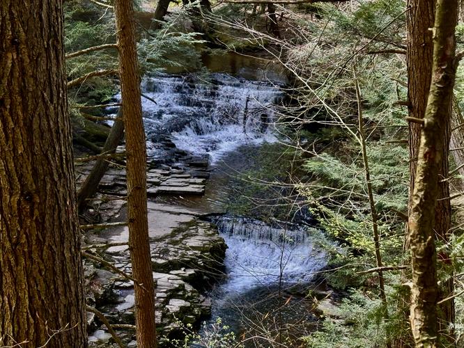 View of the Upper Fall Brook waterfalls