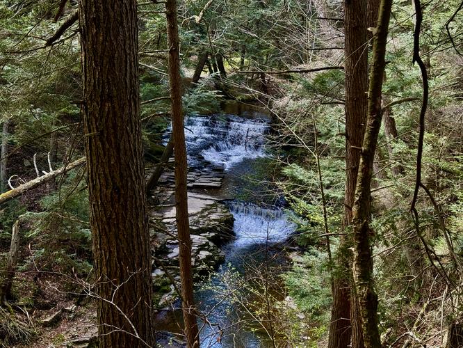 Picture 6 of Salt Springs Waterfalls Loop