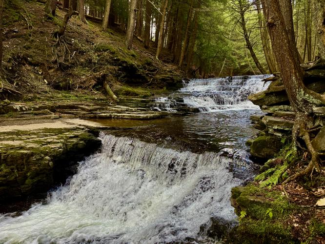 Picture 9 of Salt Springs Waterfalls Loop