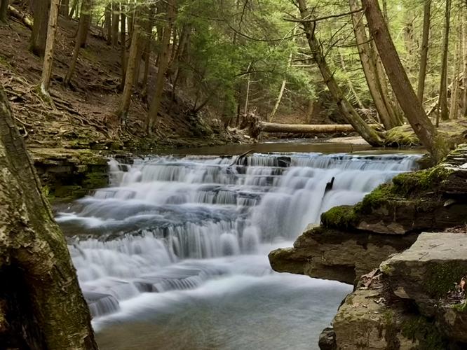Picture 11 of Salt Springs Waterfalls Loop