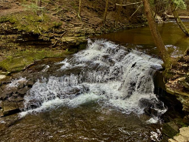 Picture 12 of Salt Springs Waterfalls Loop