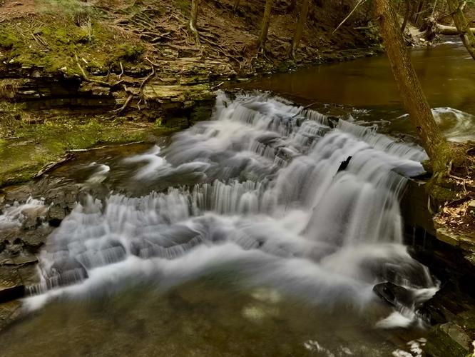 Picture 13 of Salt Springs Waterfalls Loop