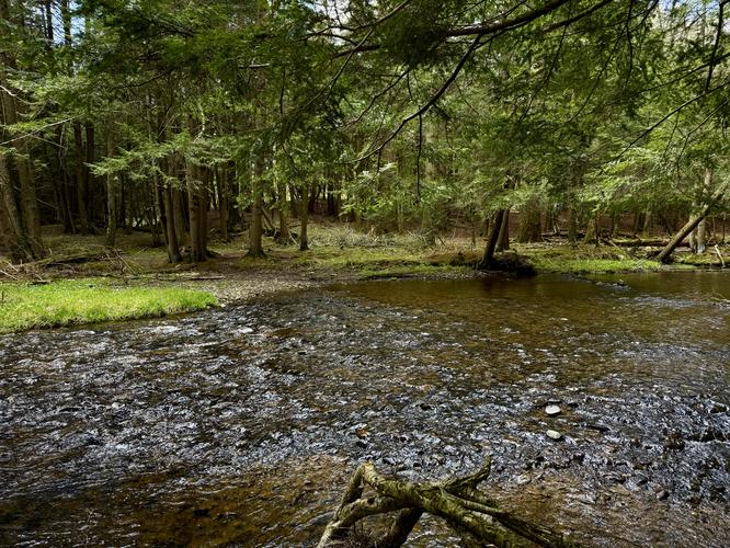 Shallow water of Fall Brook trickles toward the gorge