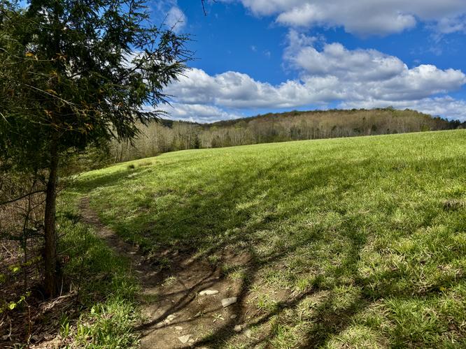 Open meadows along the southern end of the Gorge Trail