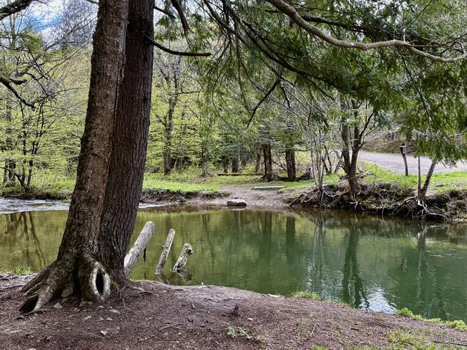 Fishing hole in Fall Brook