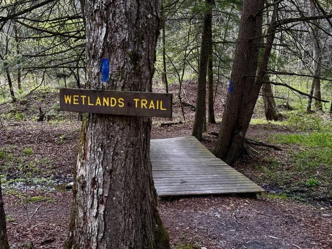Wetlands Trail trailhead