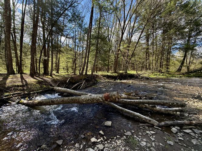 Creek crossing