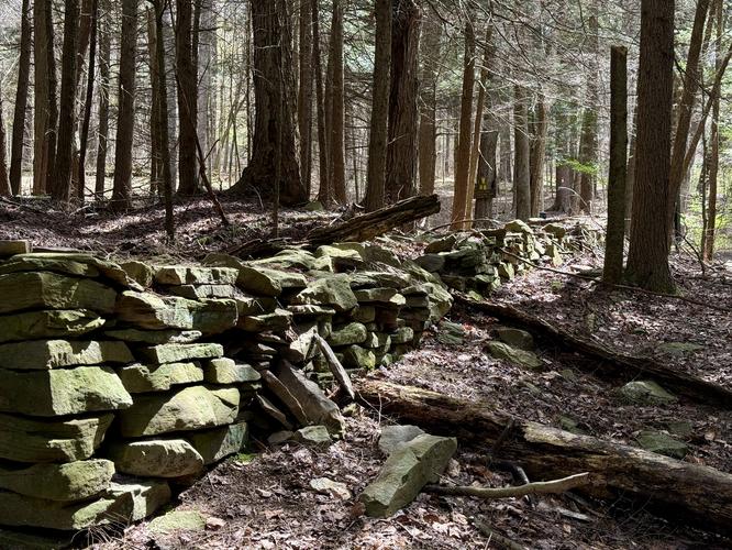 Old rock wall