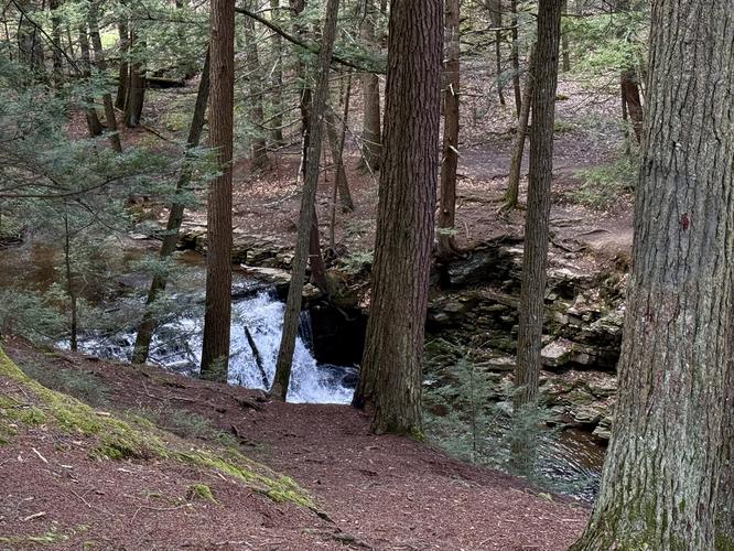 View of Upper Fall Brook Falls