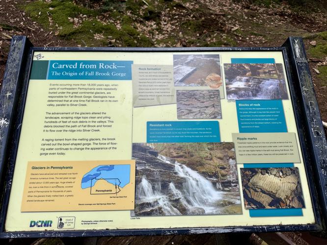 Picture 32 of Salt Springs Waterfalls Loop