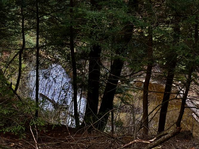 Picture 33 of Salt Springs Waterfalls Loop