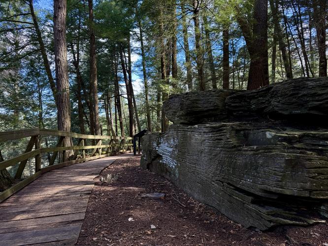 Penny Rock