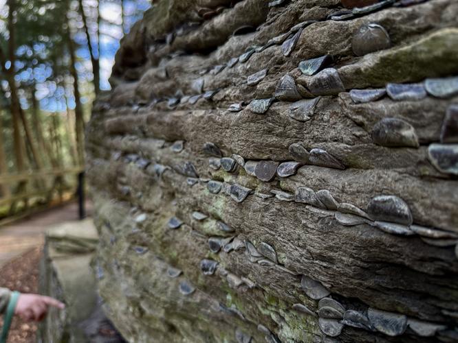 Penny Rock