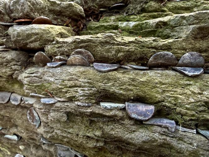 Bent pennies stuck in Penny Rock at Salt Springs State Park, PA
