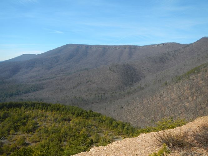 Default image for Saltlog Gap Loop Hike, a 7.2-mile trail in Snowden, VA (US)