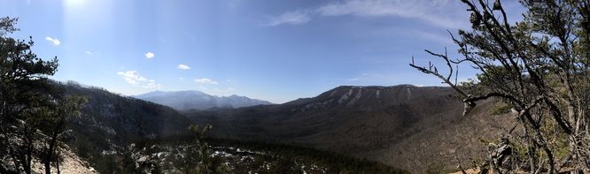 Picture 21 of Saltlog Gap Loop Hike 020921