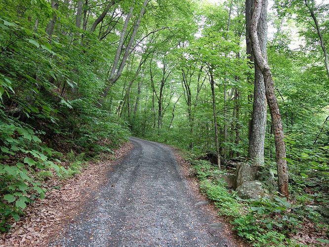 Picture 6 of Sams Ridge and Catlett Spur Hike 060416