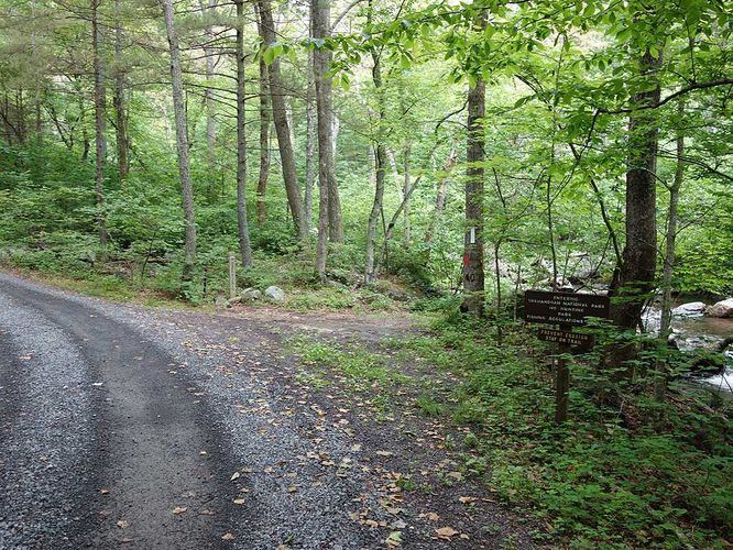 Picture 7 of Sams Ridge and Catlett Spur Hike 060416