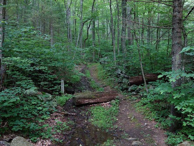 Picture 8 of Sams Ridge and Catlett Spur Hike 060416