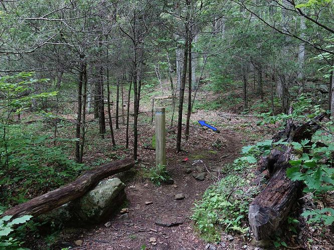 Picture 16 of Sams Ridge and Catlett Spur Hike 060416
