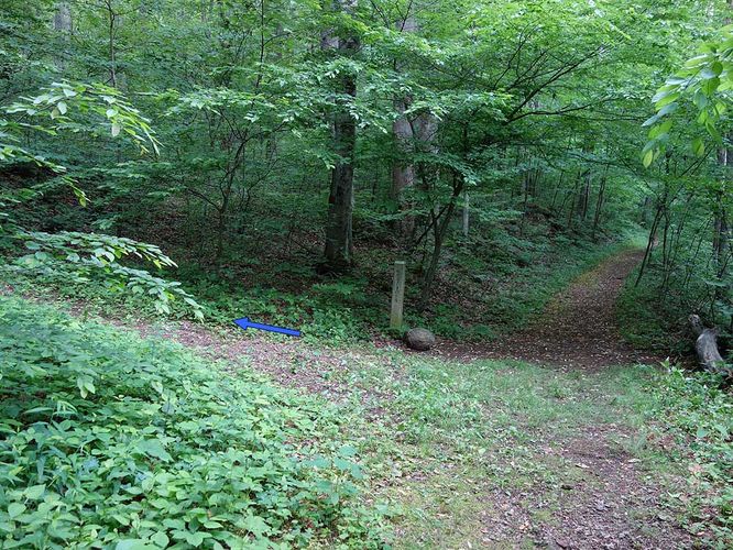 Picture 21 of Sams Ridge and Catlett Spur Hike 060416