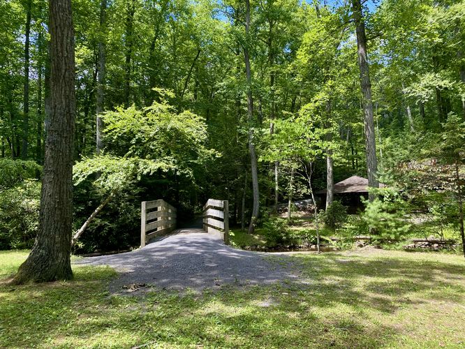 Trail at Sand Bridge State Park (unnamed)