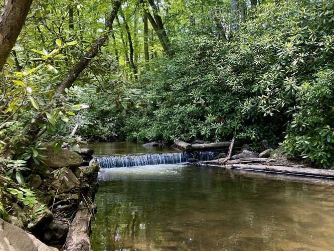 Default image for Rapid Run Foot Path, a 0.1-mile trail in Mifflinburg, PA (US)
