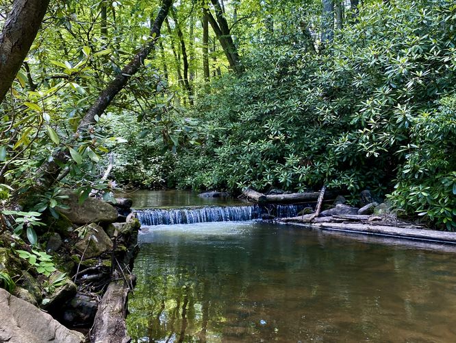 1-foot tall cascade in Rapid Run