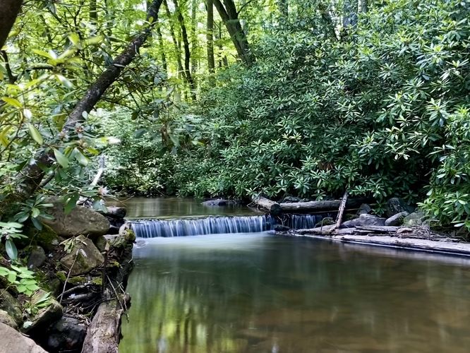 1-foot tall cascade in Rapid Run