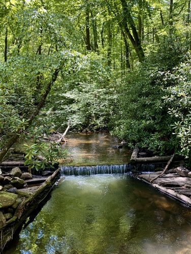 1-foot tall cascade in Rapid Run