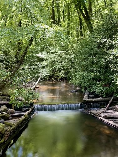 1-foot tall cascade in Rapid Run (long exposure)