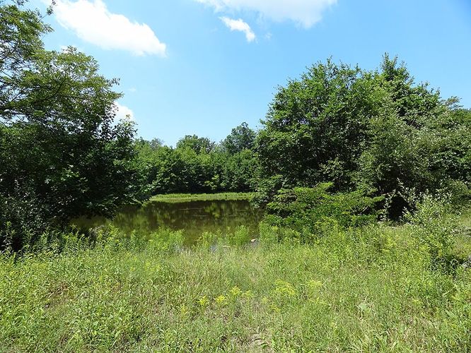 Picture 4 of Sand Flat via Salamander Trail Loop
