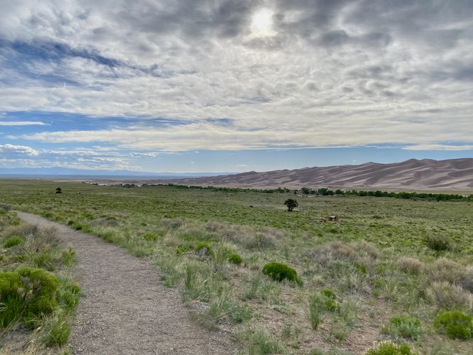 View of the sand dunes from the trail