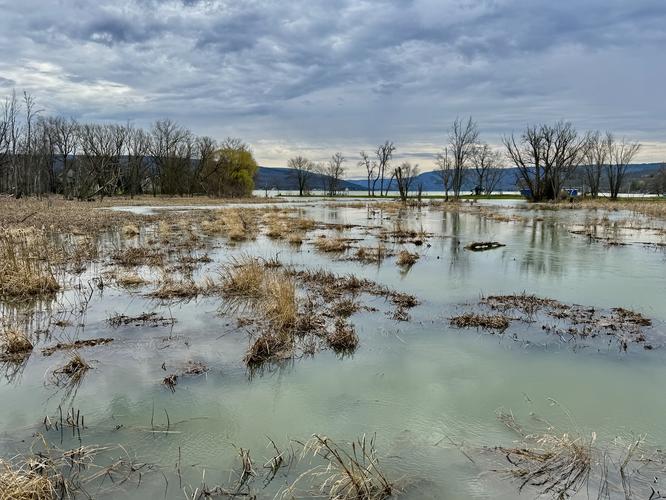 Sandy Bottom Nature Trail - Sandy Bottom Nature Trail album