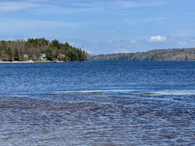 View of the Penobscot Narrows Bridge
