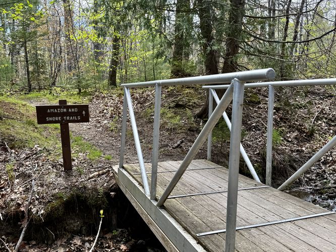 Footbridge leads to the Amazon Loop