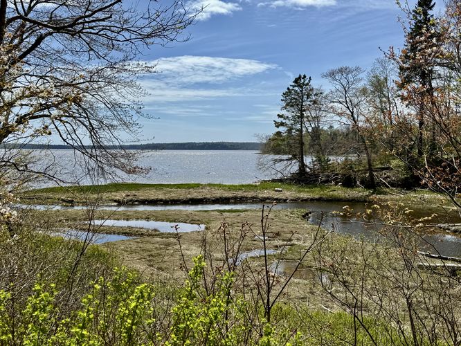 Marsh and river view