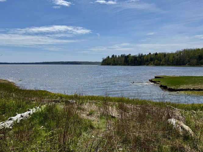 Default image for Sandy Point Beach Park Hike, a 1.7-mile trail in Stockton Springs, ME (US)