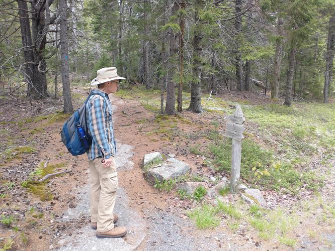 Signage at the junction of the Sargent Mountain South Ridge Trail 