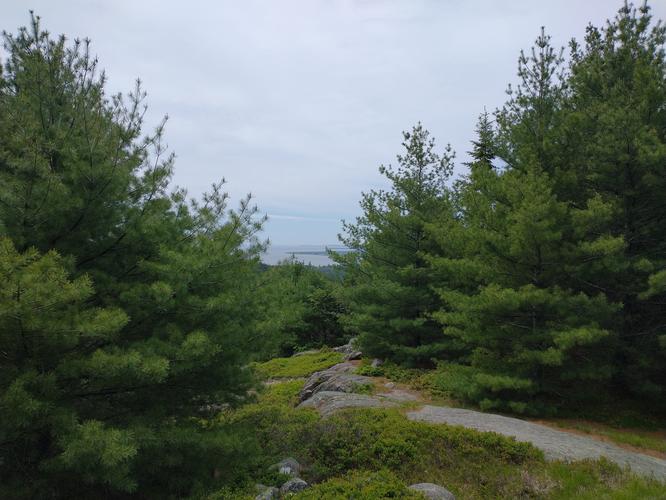 Pocket view from the trail 