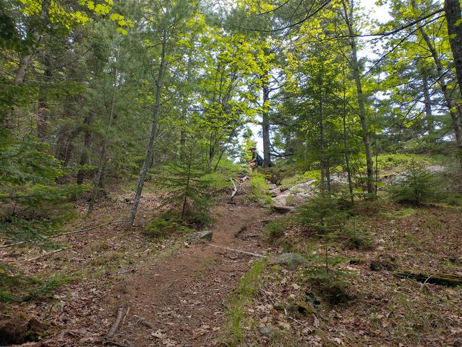 Steep section of the trail 