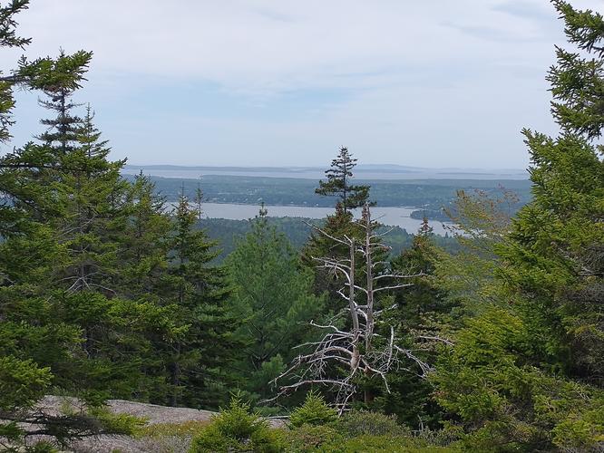 Rewards of hiking... beautiful vista