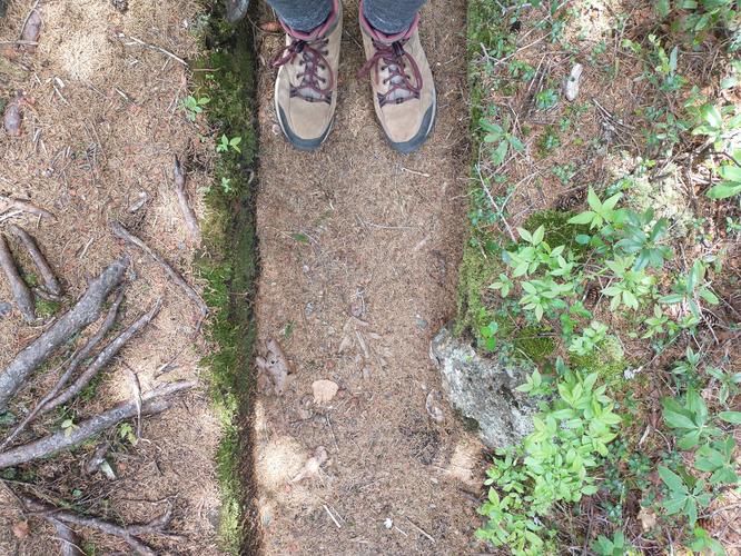 The trail is quite narrow in sections.