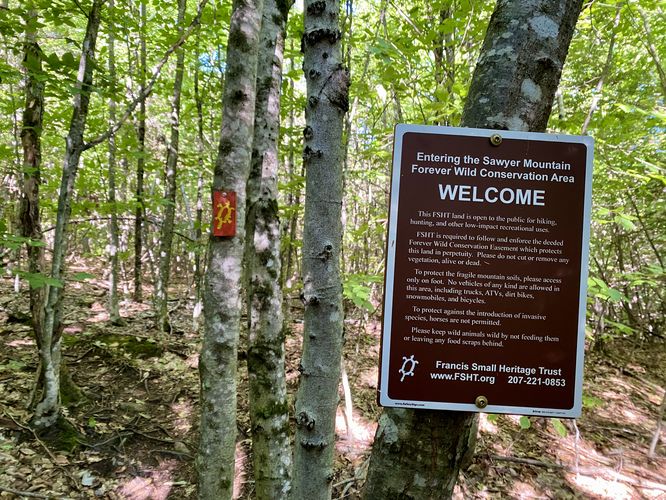 Entering the Sawyer Mountain Forever Wild Conservation Area