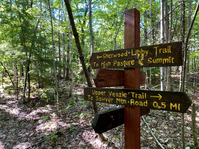 Keep on-trail to High Pasture via Sherwood Libby Trail