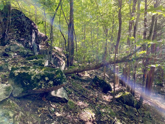 Trail ascends to High Pasture summit, passing rocky outcropping