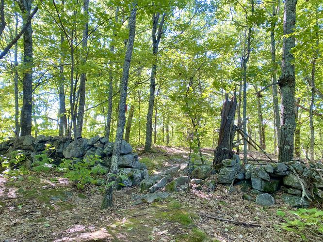 Old rock walls on High Pasture summit